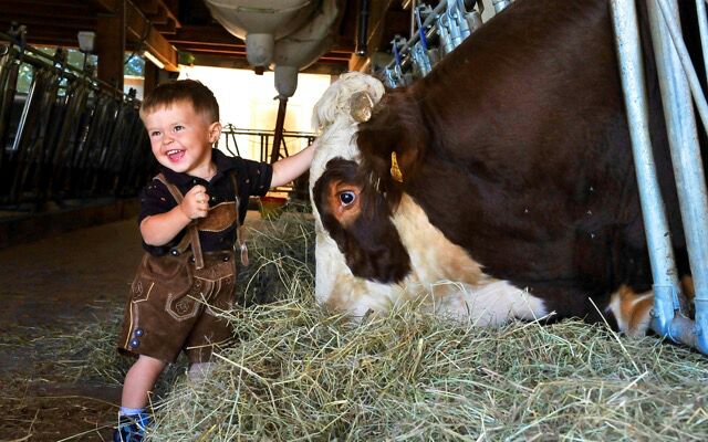 Kinderglück am Bergbauernhof Langnerhof