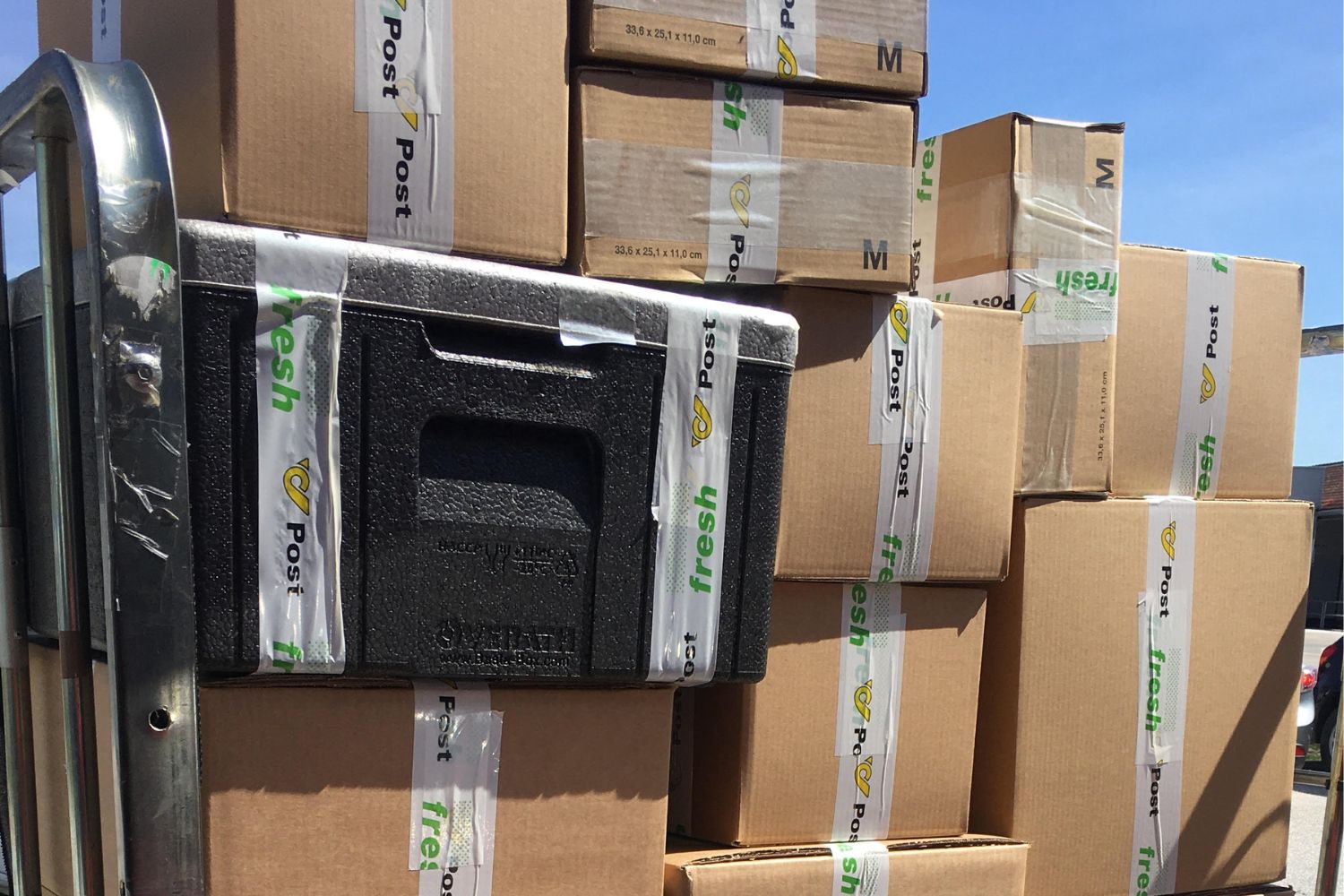 Pandemie: Pakete Pakete Pakete Pandemie: Pakete Pakete Pakete